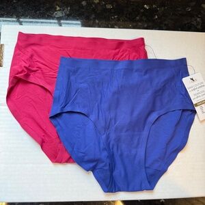 Chantelle Panties - 2 pairs - NEW, blue and red